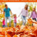 Top 5 Fun things to do Central, Calfornia in the fall. You'll love these family friendly travel ideas insider tips for traveling Calfornia. DearCreatives.com