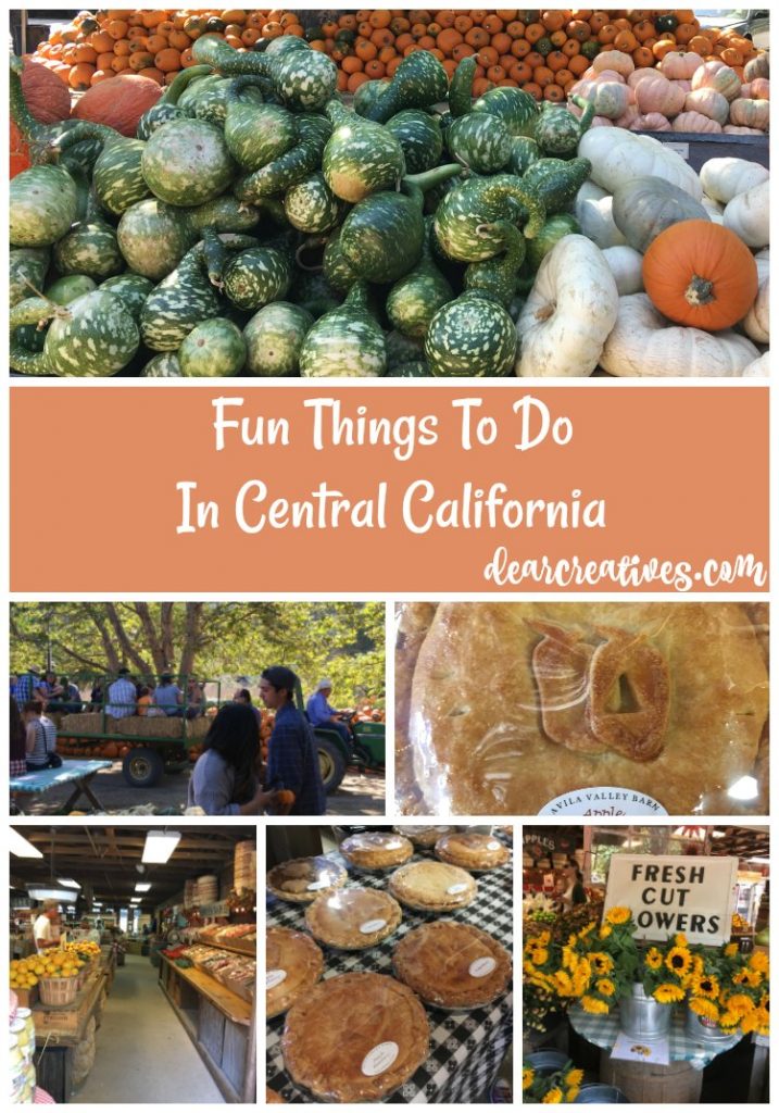 Things To Do Central Coast California