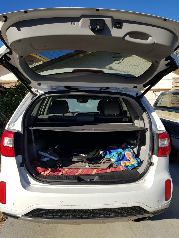 Looking in the trunk of car for missing tennis racket with tile on it.