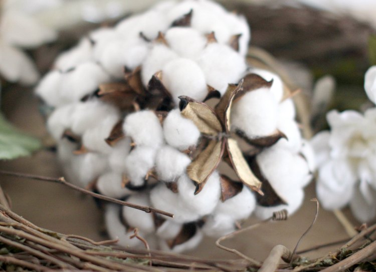 cotton bolls for a Farmhouse Wreath DIY © 2017 Theresa Huse DearCreatives.com