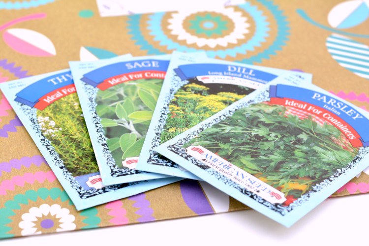 Herb seeds for garden DIY at DearCreatives.com