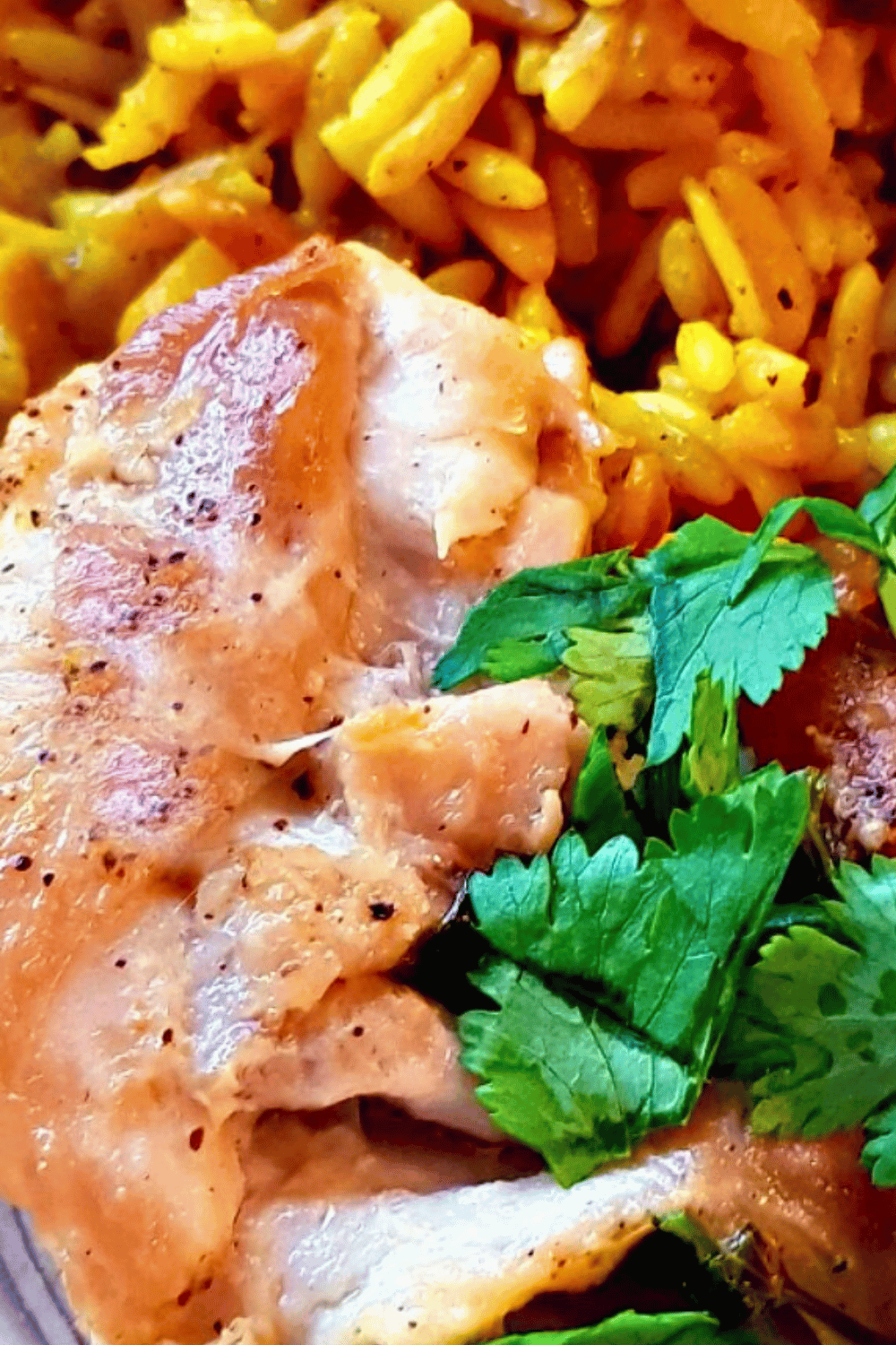 Close up of Cilantro Lime Chicken Chicken thighs with seasonings and lime, cilantro, and seasoned rice.&copy; DearCreatives.com