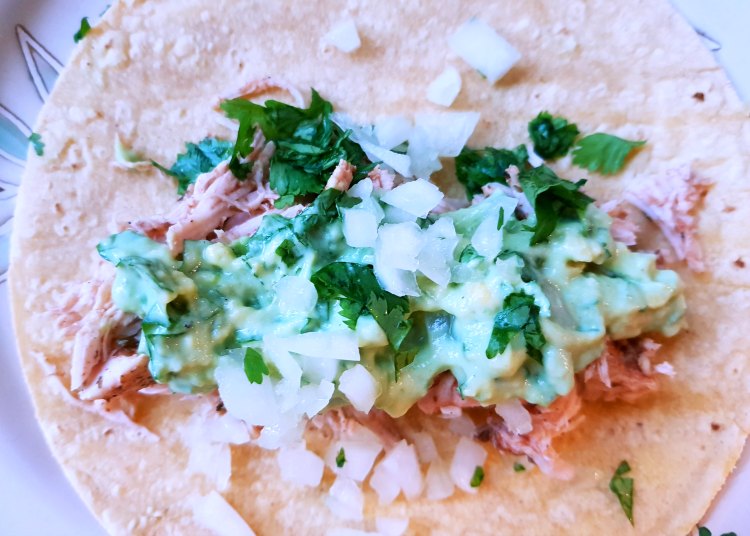 Corn tortilla with shredded chicken avocado topping, cilantro and chopped white onions on a plate. DearCreatives.com