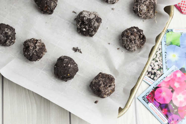 Adding molded seed bombs to a tray to dry. DearCreatives.com