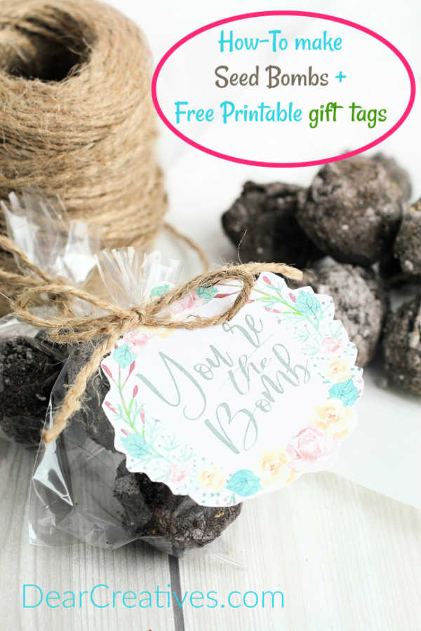 Completed gardening gift. Seed bombs in a clear package with a printed gift tag tied on. - DIY Seed Bombs - See how to make this easy gardening gift idea at DearCreatives.com