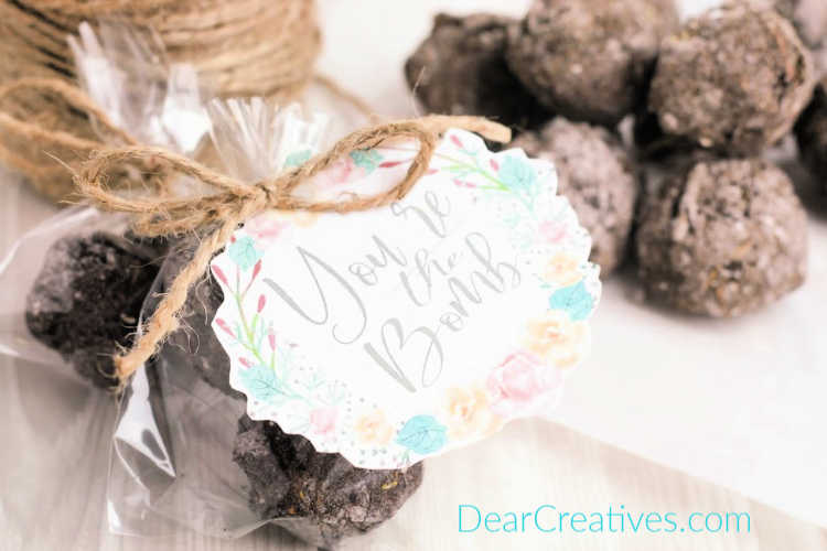 homemade seed bombs © 2019 DearCreatives.com 