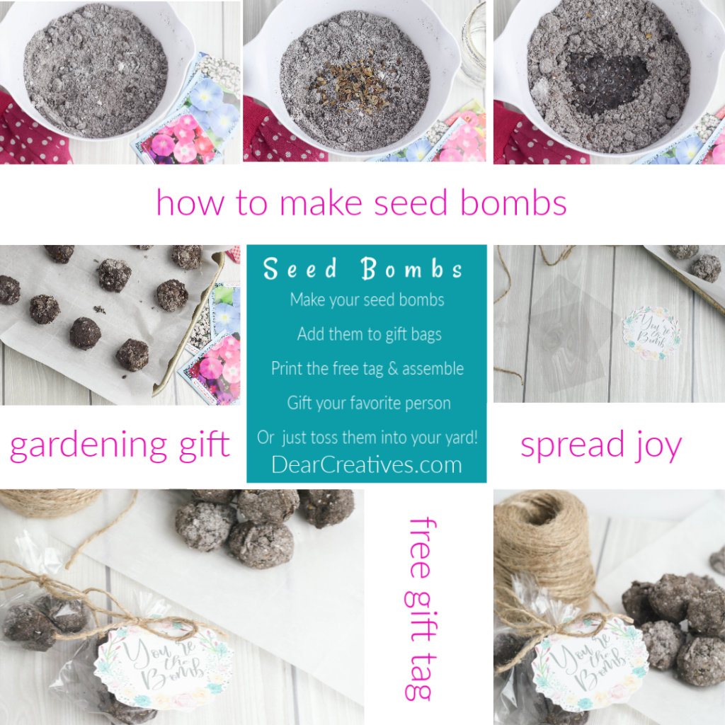 how to make seed bombs - DearCreatives.com steps in images full tutorial at DearCreatives.com