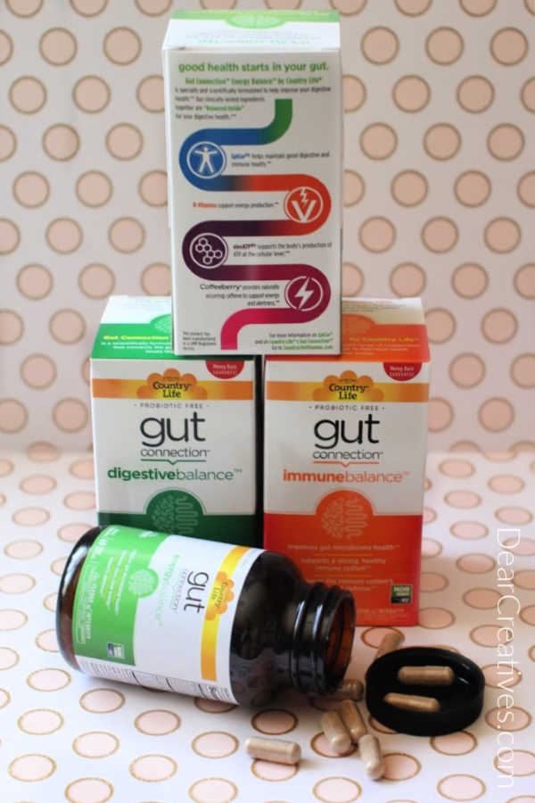 gut connection prebiotic health supplements for digestion - DearCreatives.com