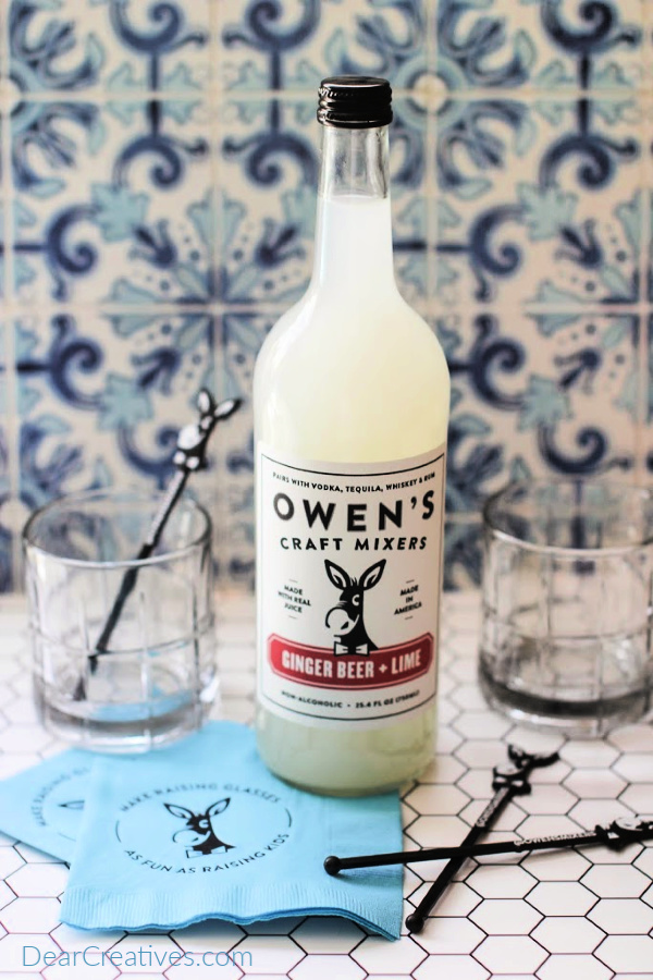 Mixers for making mocktails and cocktails for parties and celebrations - make raising glasses as fun as raising kids - baby shower - DearCreatives.com