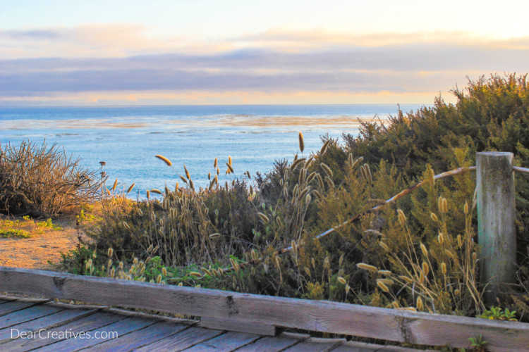 travel overlooking the ocean in Cambria,California © 2019 DearCreatives.com