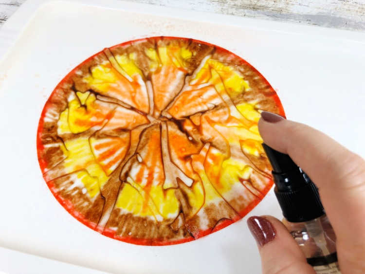 Step 2- place colored coffee filter on a protective surface and spritz with water. DIY tie dye coffee filter turkey craft at DearCreatives.com