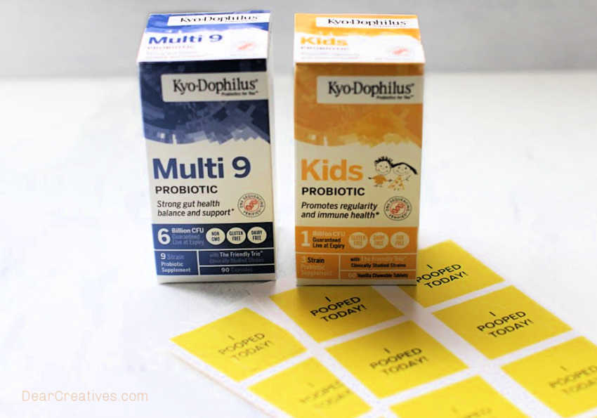 Don't Let Digestion Issues Slow You Down! Gut Health Tips - Probiotics and probiotics for kids. © DearCreatives.com