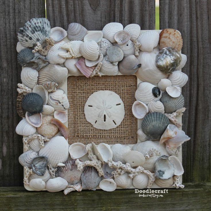 Image for DIY Seashell Frame 