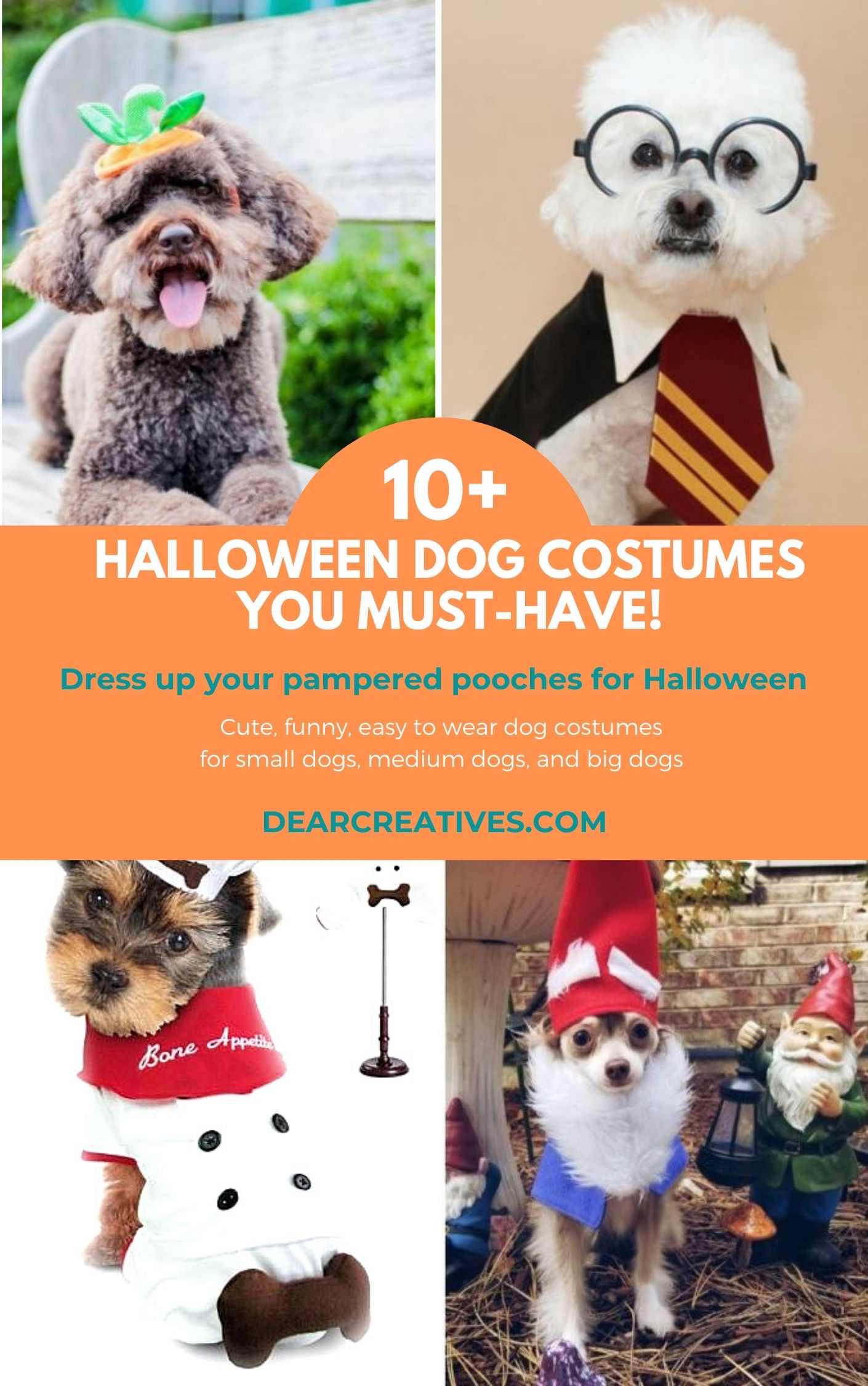 Halloween Dog Costumes You & Your Dogs Will Love!