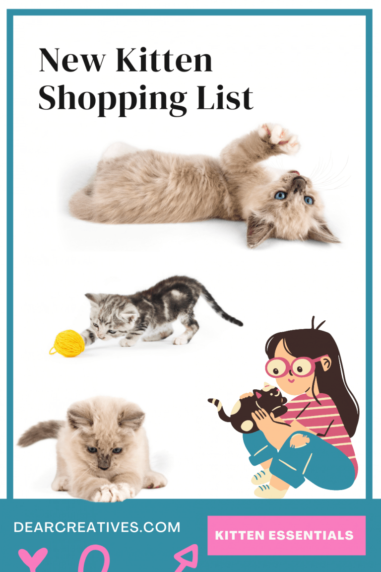 New Kitten Shopping List – Tips+Essentials Printable