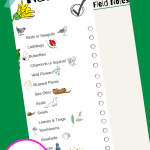 Printable Nature Scavenger Hunt - Nature Walk Checklist -Spy Nature Kids' Activity - Printable nature scavenger hunt for kids - print it and get more free printables at DearCreatives.com