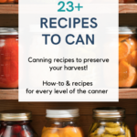 Canning recipes to preserve your harvest! How to & recipes for every level of the canner - 23+ Recipes To Can ... Find out more at DearCreatives.com