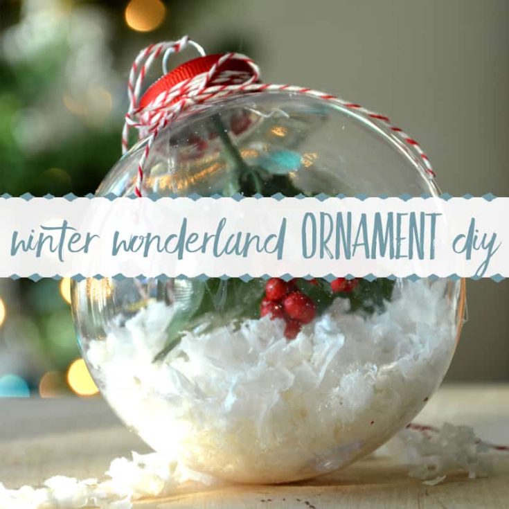 Image for DIY Winter Wonderland Ornament