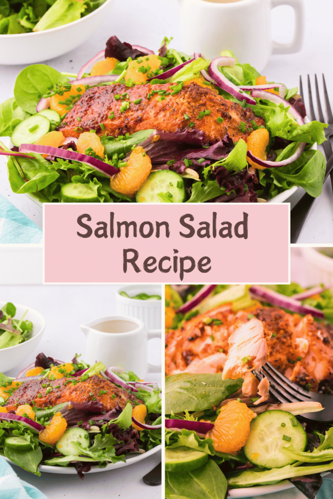Salmon Salad Recipe Tasty, healthy, quick and easy to make! Fresh green salad or spring mix salad greens, mini cucumbers, red onion, mandarin oranges champagne viengrette...DearCreatives.com